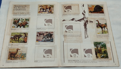 Album De Figurinhas Animais Pré-histórico -1979- Incompleto Animais Pré Históricos (Usado)