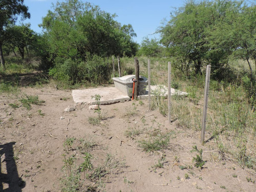 Oportunidad !!! Campo Productivo, Cría Y Siembra - 65 Has En San Pedro, Cba.