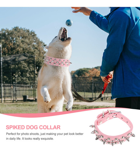 Collar De Perro Con PĂșas, Collar De Perro Con Remache