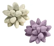 Comprar 2 Piezas Hermosos Cojines Suculentos Cojines De Plantas Para