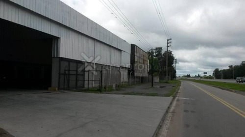 Imagen 3 de 16 de Colectora Panamericana Km 61 - Pilar - Pilar