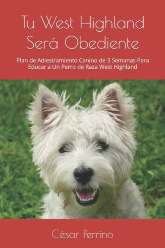 Tu West Highland Sera Obediente: Plan De Adiestramiento Cani