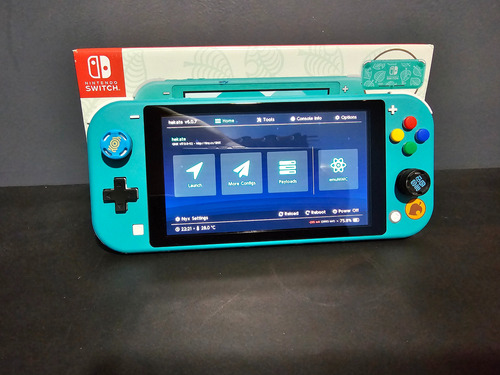 Nintendo Switch Lite Desbloqueado 