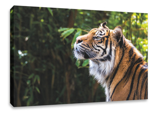 Cuadro Decorativo Canvas Tigre Impresion 120x80 Cm