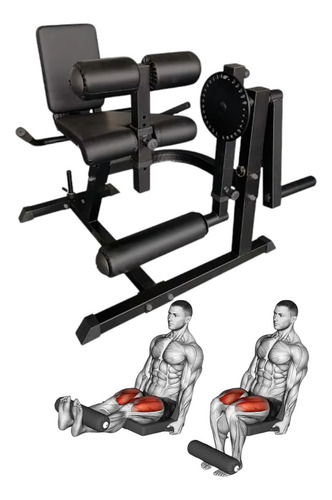Maquina De Ejercicios Extension De Cuadriceps Y Curl Femoral