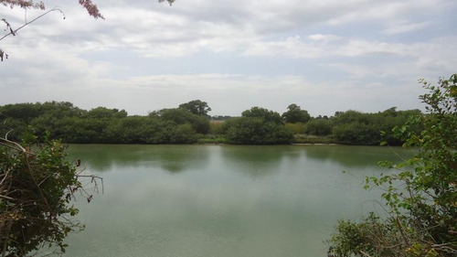Venta Lotes 600 M² Playa De Barra Galindo Tamiahua Veracruz
