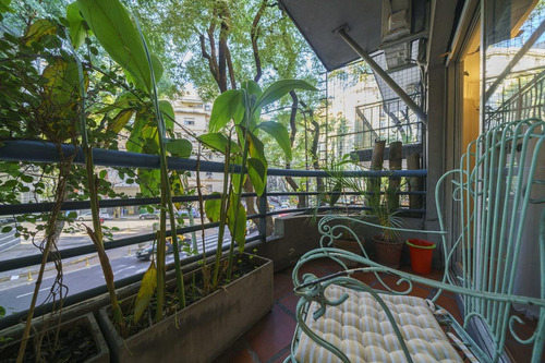 Imagen 1 de 30 de Ph - Palermo - Local - Vivienda 3 Dormitorios - Lote Propio - 330m2 Totales