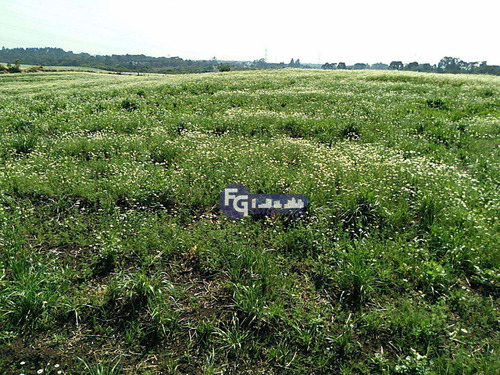 Imagem 17 de 20 de Terreno À Venda, 41125 M² Por R$ 6.167.000,00 - Campo Largo Da Roseira - São José Dos Pinhais/pr - Te0085