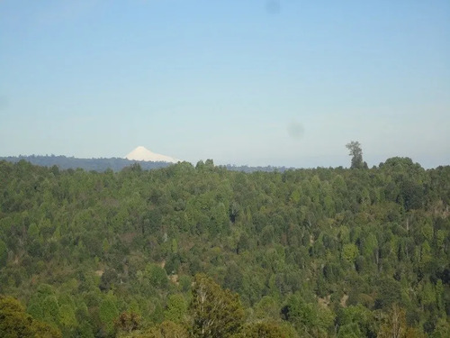 Ganaderas En Venta En Lago Ranco