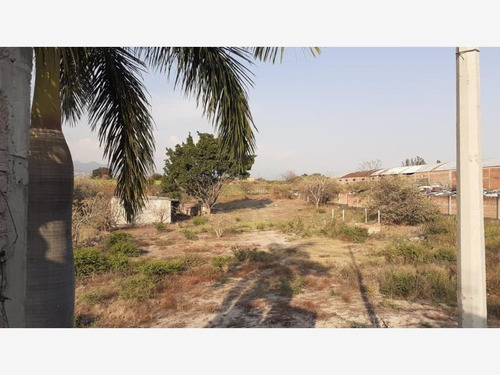 Imagen 9 de 11 de Terreno Comercial En Venta San Carlos