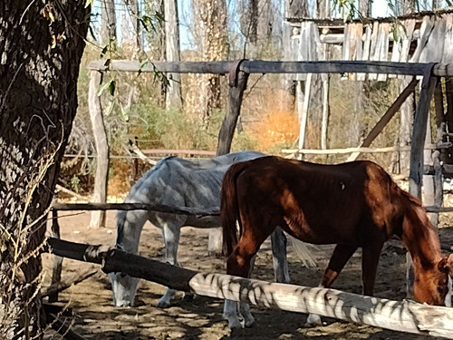 Vendo Chalet, Caballeriza Polero