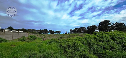 Gran Terreno En Parque Industrial Escuadrón