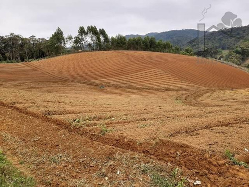 Imagem 5 de 15 de Cód 4204- Excelente Terreno Em Ibiúna. - 4204