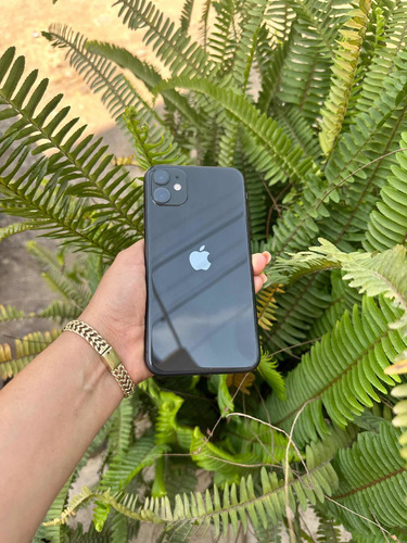 Celular iPhone 11 (Usado)