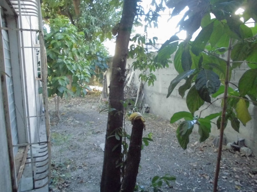Imagen 9 de 11 de Vendo En Palo Alto, 102 Metros De Terreno Aprox., 62 De Construcción Aprox., Tres Hab. Un Baño. Información 0412 5516099 Y 0412 5537150.