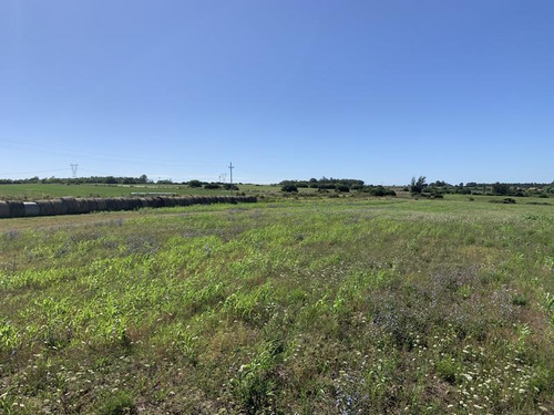 Excelente Campo En Canelones Sobre Ruta 5, 150 Has Agricolas.