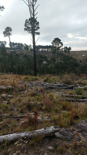 Imagen 8 de 12 de Preventa Financiado Tierras Del Cacique Yan Lotes 1200 M2 Villa Yacanto De Calamuchita - Córdoba