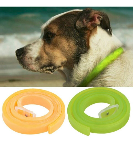 Collar Antipulgas Y Garrapatas Para Perro Grande