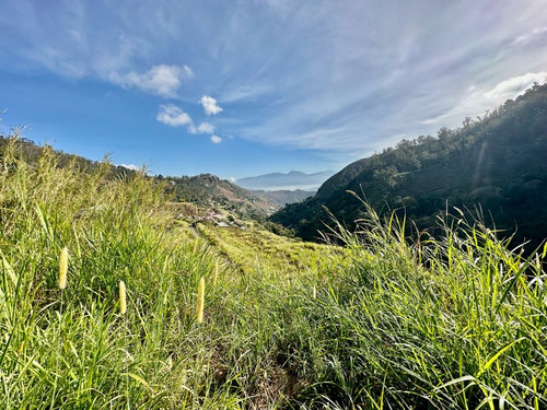 Se Vende Terreno 122.076m2 Los Salías Los Teques Miranda