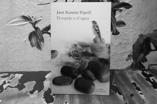  El Espejo Y El Agua  De José Ramón Ripoll