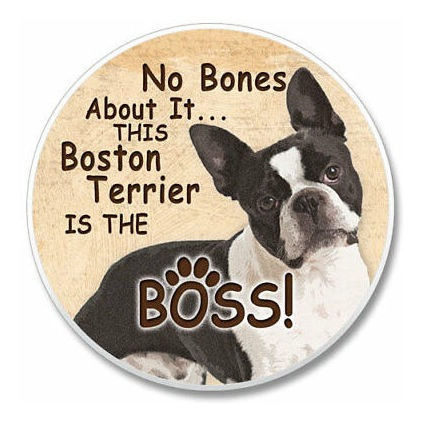 Práctico De Costa Auto Boston Terrier De Winston Porter