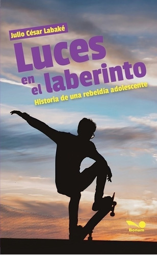 Luces En El Laberinto - Julio Cesar Labake | MercadoLibre