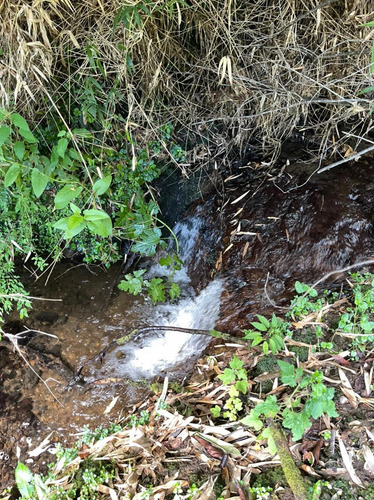 Campo De 22 Hectáreas Cercano A Fresia.