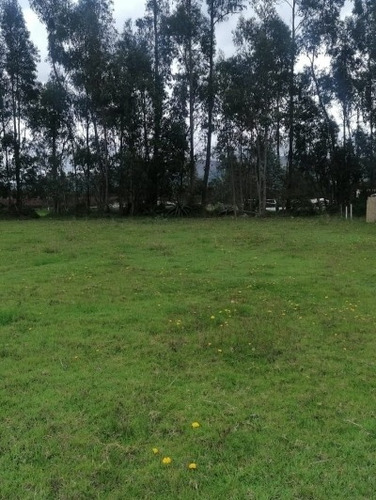 Imagen 4 de 7 de Terrenos Tabacundo (barrio Alegría)