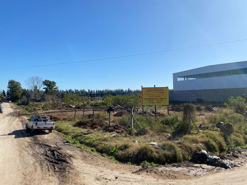 Imagen 3 de 7 de Terreno - Benavidez