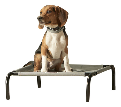 Franklin Pet Supply - Cama Elevada Para Perros, Tela De Mal.