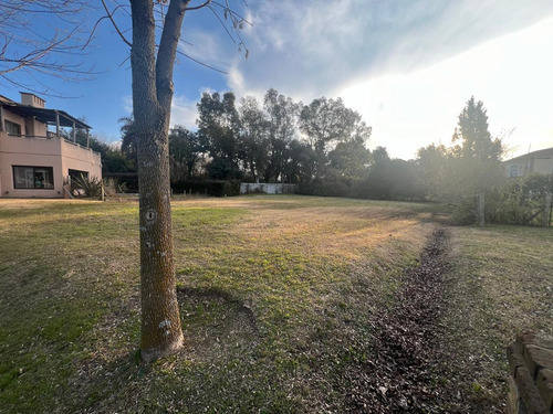 Terreno En Venta Apto Credito Barrio Los Jazmines Pilar Del Este