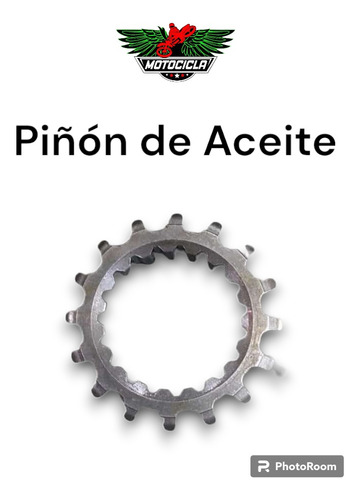 Piñon De Aceite