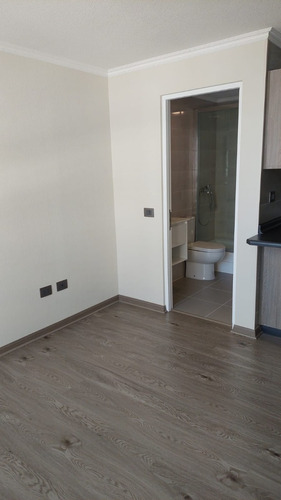Comodo Y Estupendo Home Estudio En El Centro De Concepción