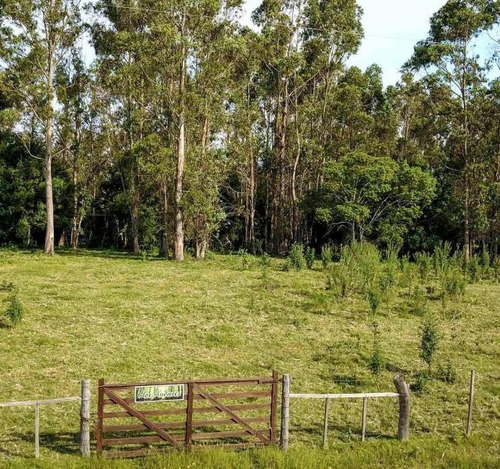 Campo En Venta