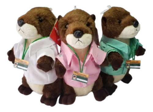 Peluche Nutria Aurora Nutrióloga Imss