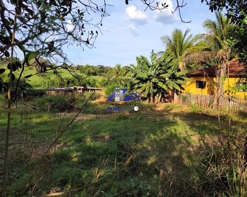 Imagem 8 de 25 de Chacará Em Guarapes Com 3 Quartos, Confira !!! - Ch00053 - 70836083