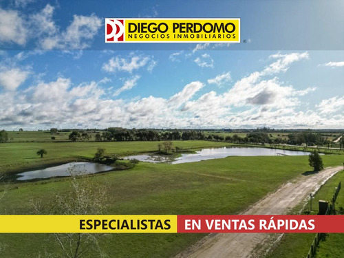 Imagen 15 de 17 de Vivienda De 3 Dormitorios En Venta. Parque Del Lago