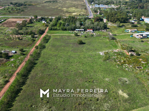 Venta De 4o Hectareas En Estaban Echeverria .canning