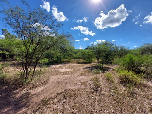 Campo 383 Ha En Conlara Merlo Lafinur San Luis. Con Riego Y Natural. Para Cría, Engorde, Tambo.