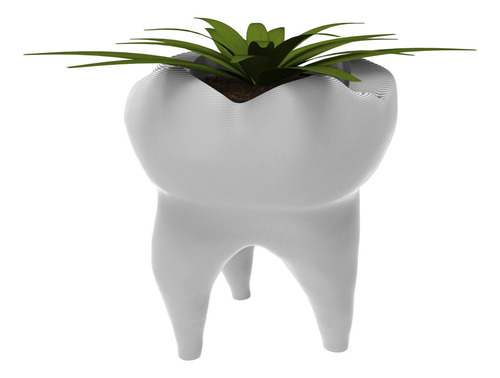 Vaso Decorativo Suculentas Cactus Dente Odontologia Odonto Cor Branco