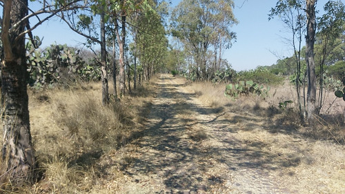 Rancho En Venta En Hidalgo Con Pozo Propio, A 40 Minuto De Queretaro Y 2 Horas De Cdmx