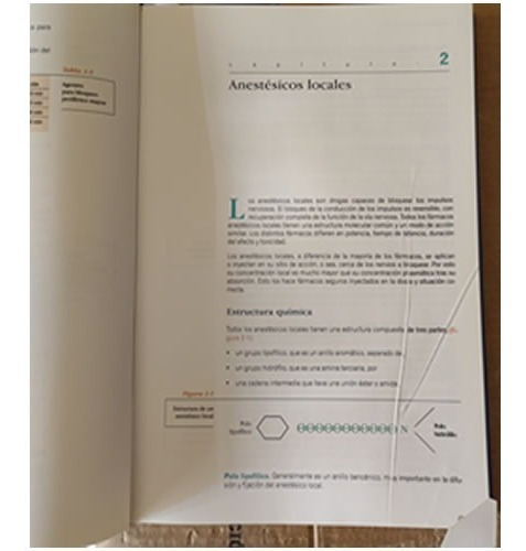 Imagen 2 de 2 de Gallardo Manual De Anestesia Regional Nuevo Con Detalles
