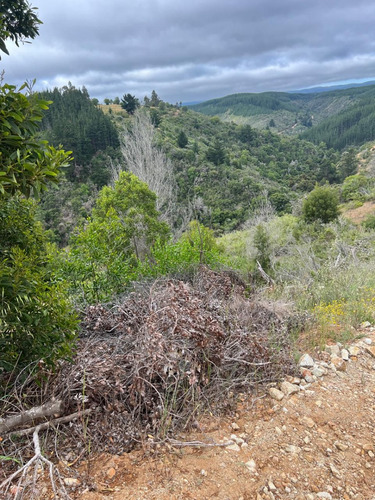 Hermoso Terreno En Loteo Vista Cuarzo , Pichilemu