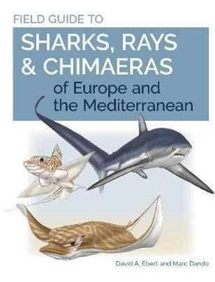 Libro Field Guide To Sharks, Rays & Chimaeras Of Europe A...