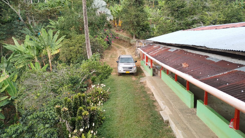 Se Vende Finca Pijao Quindío 