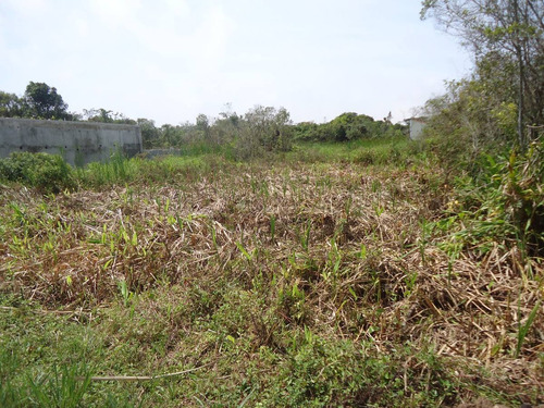 Terreno Em Itanhaém Com Projeto Aprovado