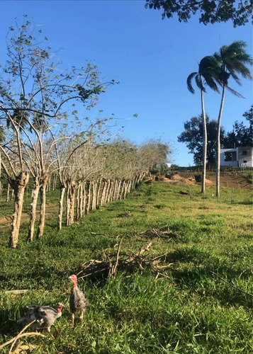 Venta 978 M. De Terreno Boca De Jamao Al Norte Cruse De Noe