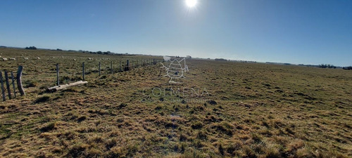 Imagen 5 de 28 de Venta Campo Ideal Para Fraccionar En Chacras Codigo 6003 - Las Garzas
