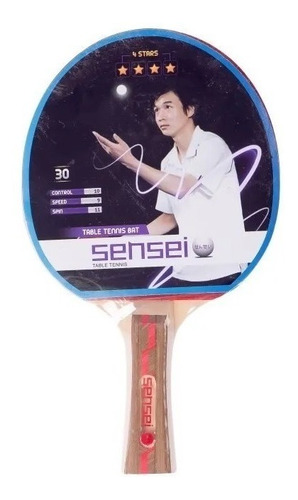 Imagen 1 de 1 de Paleta De Ping Pong Sensei 4 Estrellas