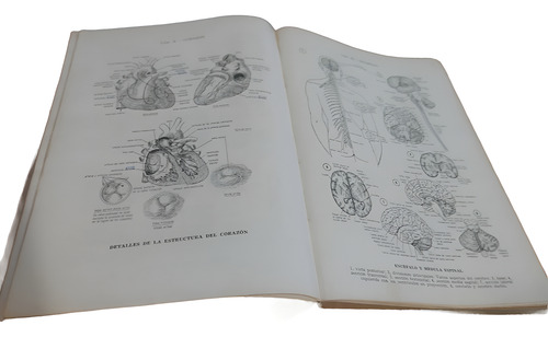 Diccionario De Ciencias Médicas - Dorland (Usado)
